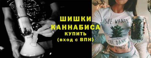 тгк Краснослободск