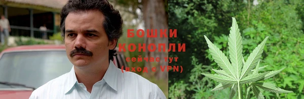 ПСИЛОЦИБИНОВЫЕ ГРИБЫ Дрезна