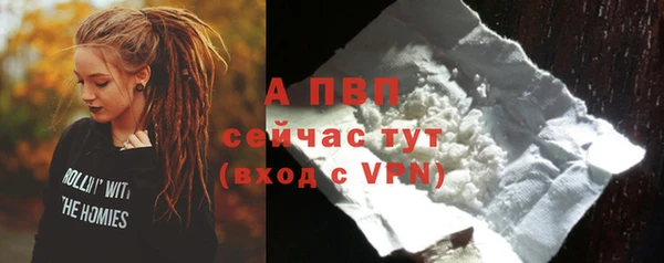 ПСИЛОЦИБИНОВЫЕ ГРИБЫ Дрезна