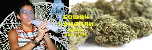 тгк Краснослободск