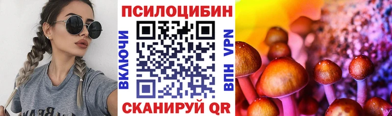 Псилоцибиновые грибы GOLDEN TEACHER  Купить закладки  Дивногорск 